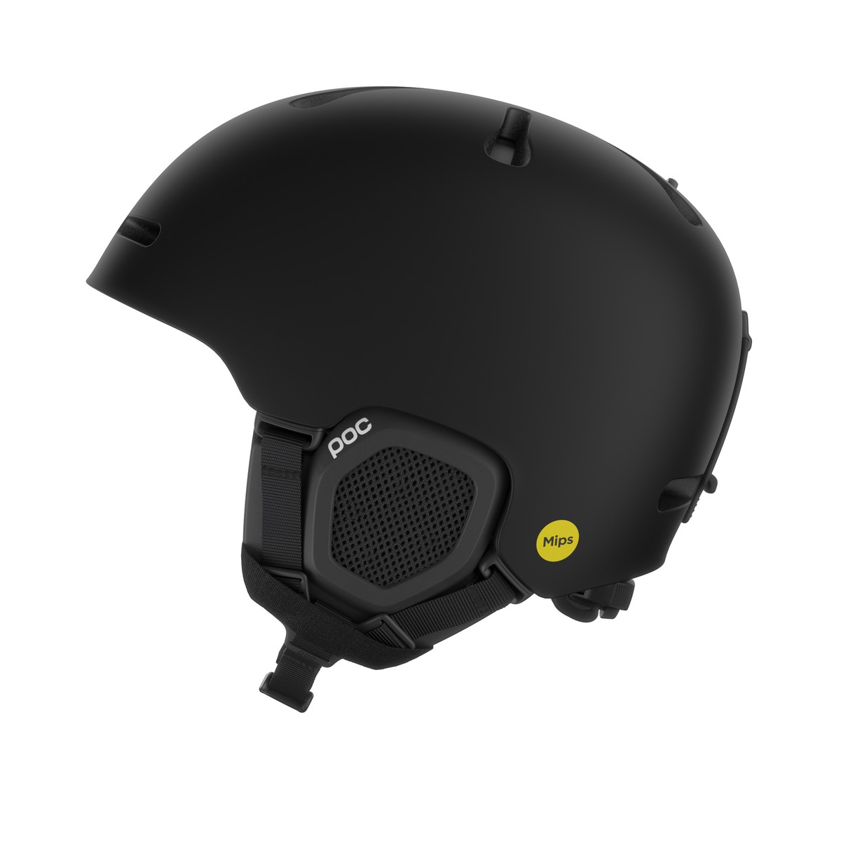 POC Fornix MIPS