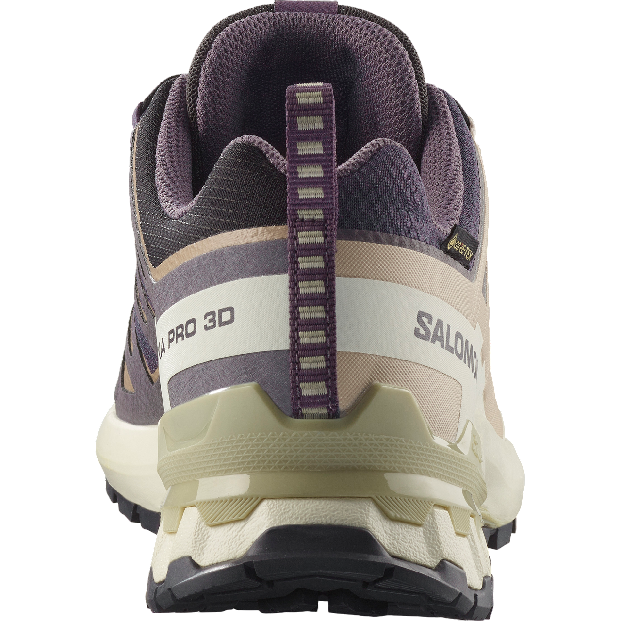 Salomon XA PRO 3D V9 GTX 