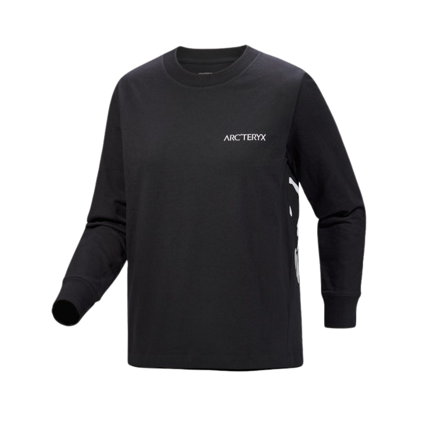 ArcTeryx Womens Kragg Cotton Bird Crew LS