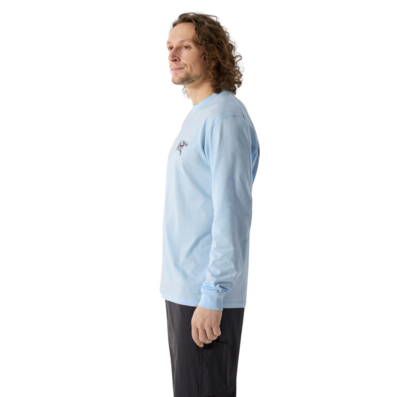 Arcteryx Mens Kragg SL Cotton Bird Tile LS
