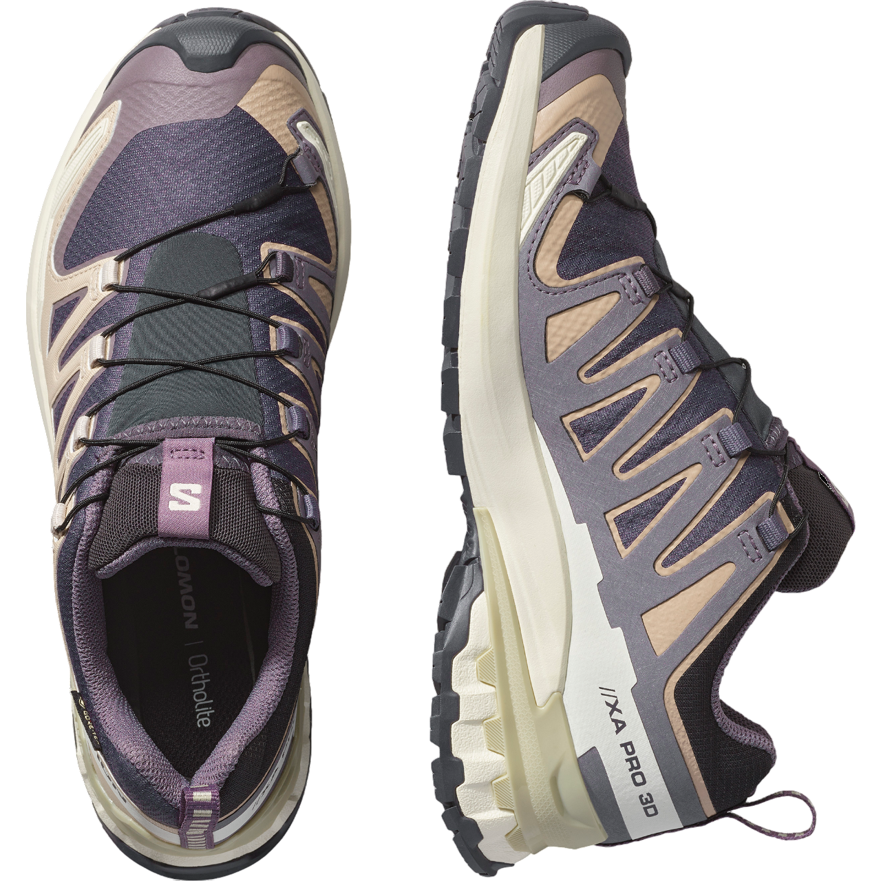 Salomon XA PRO 3D V9 GTX 