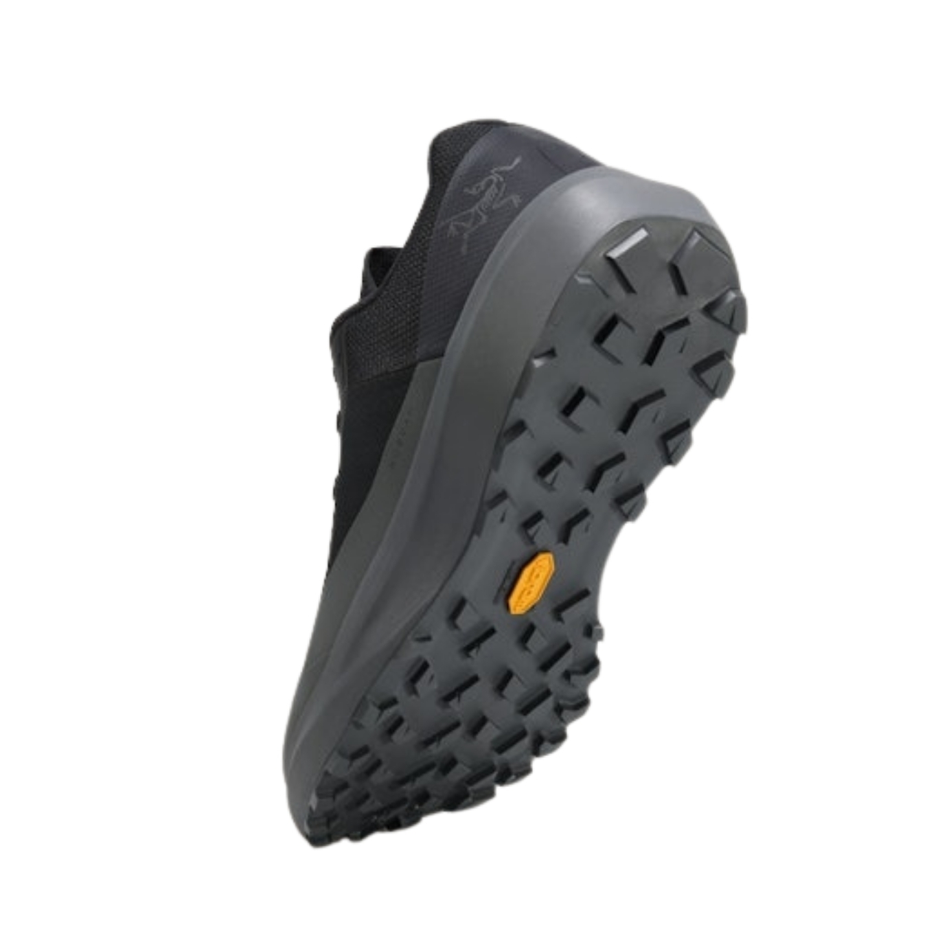 ArcTeryx Mens Norvan LD 4