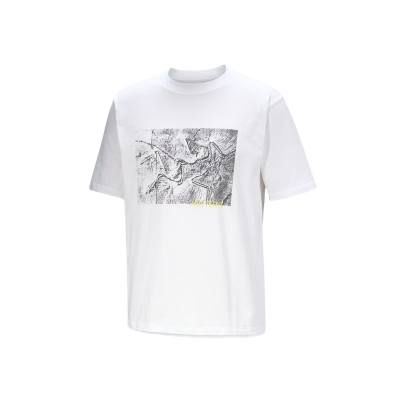 ArcTeryx Mens Kragg Cotton Lithographica SS