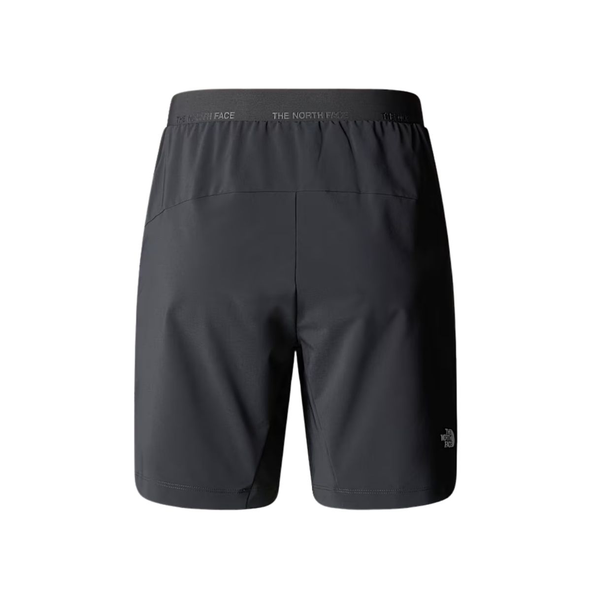 The North Face Womens Felik Slim Tapered Short