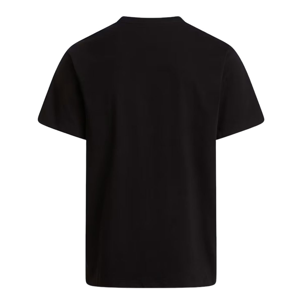 The North Face Mens Evo Simple Dome Reg SS Tee