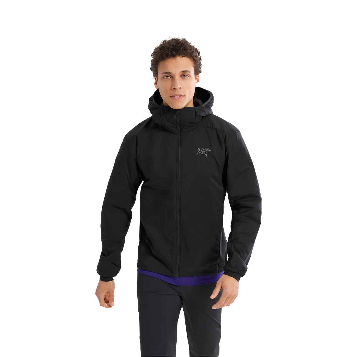 Arcteryx Mens Atom Hoody