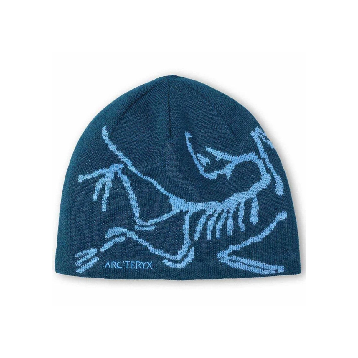Arcteryx Bird Head Toque