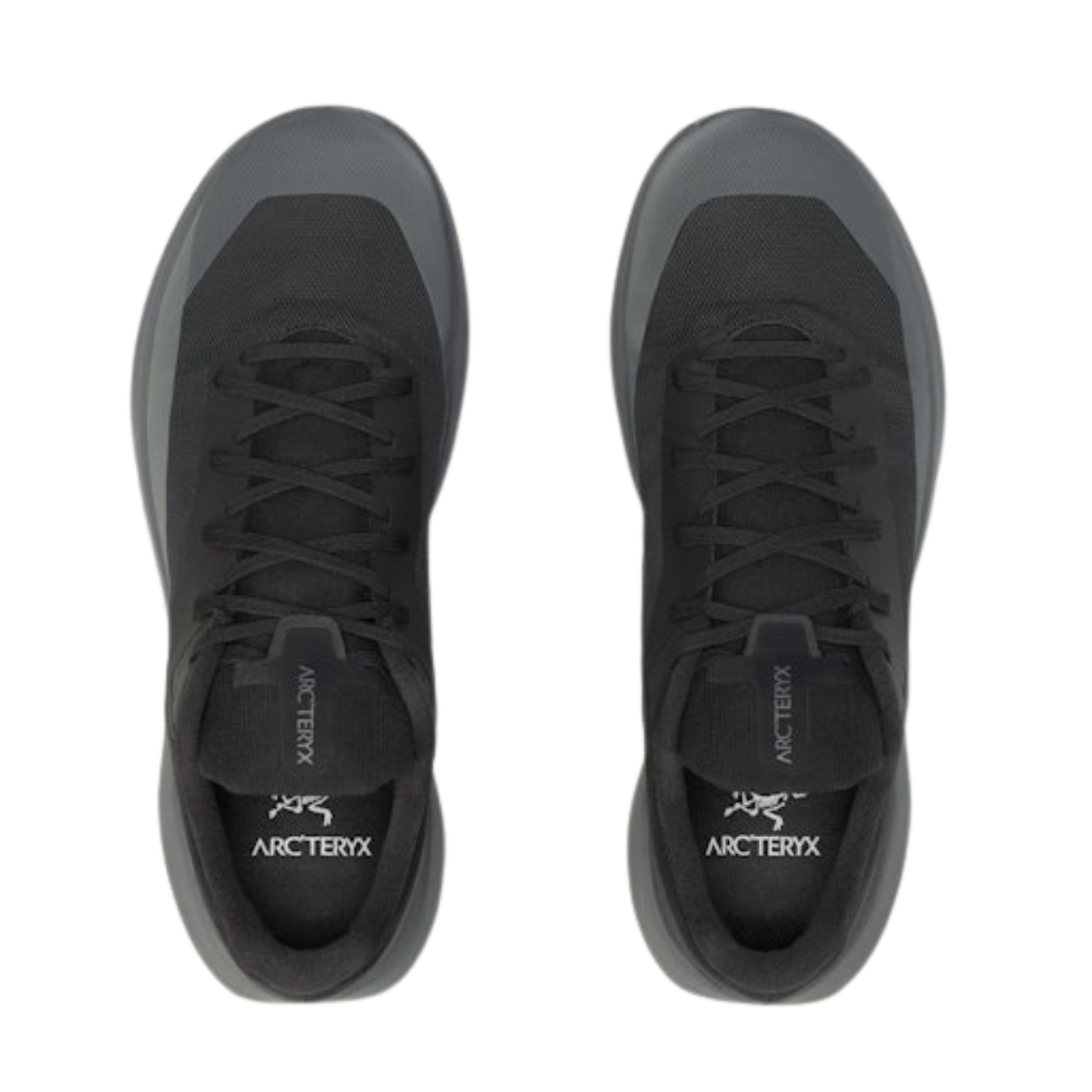 ArcTeryx Mens Norvan LD 4