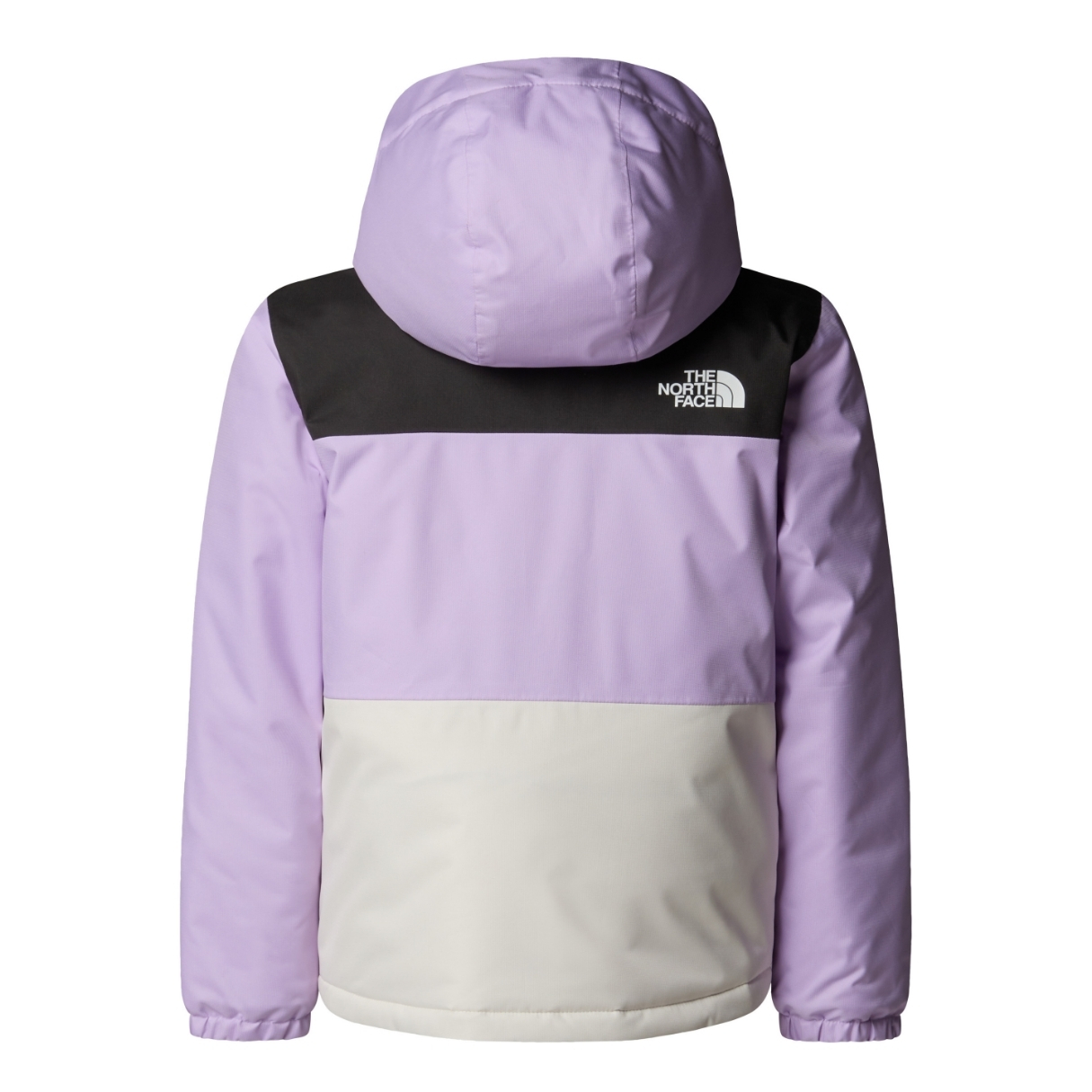 The North Face Kids Freedom Insl Jacket