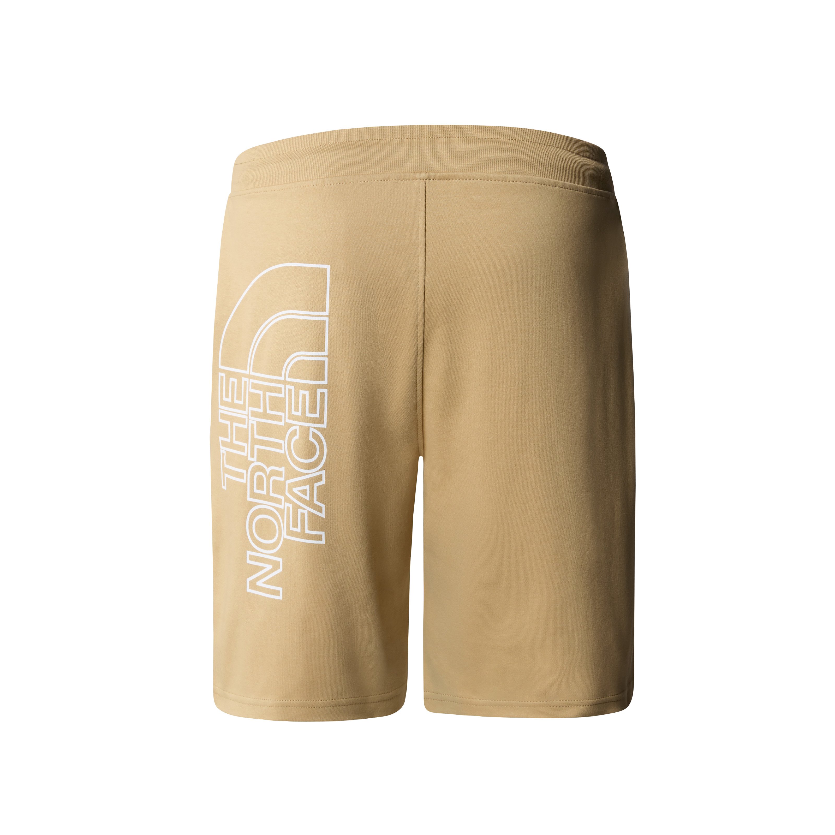 The North Face Mens Graphic Short Light 2024