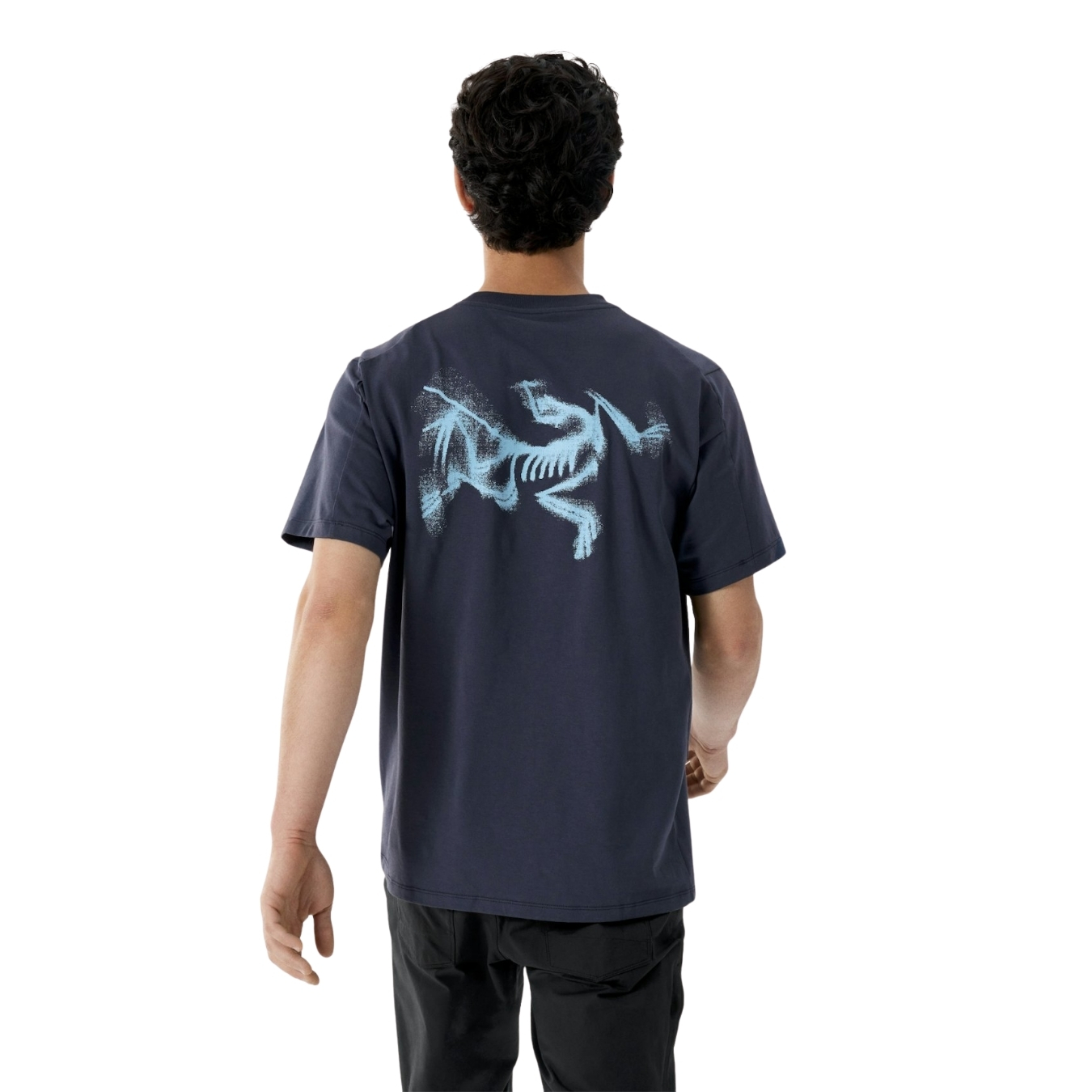 ArcTeryx Mens Kragg SL Cotton Blurred Bird SS