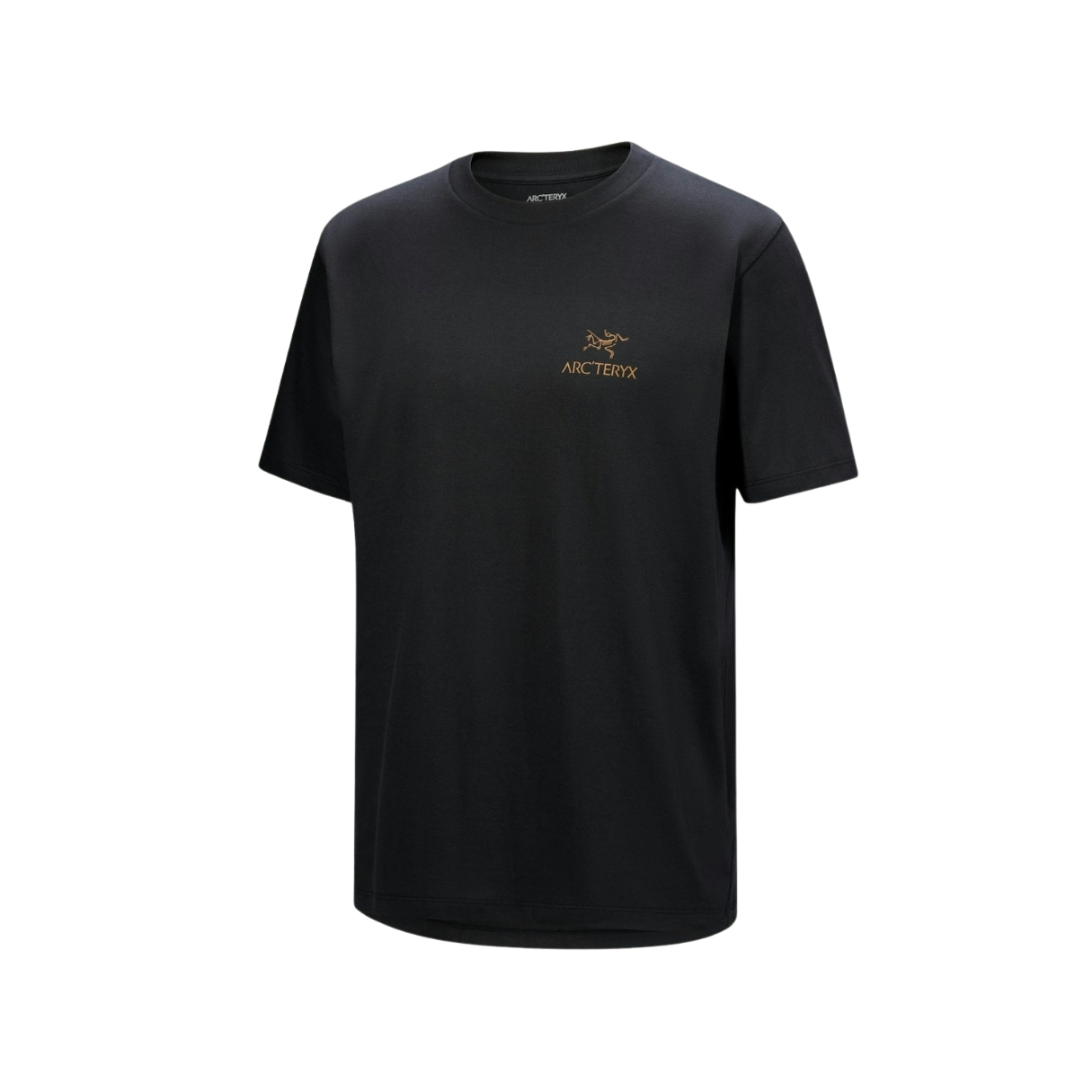 Arcteryx Mens Kragg SL Cotton Bird Word SS