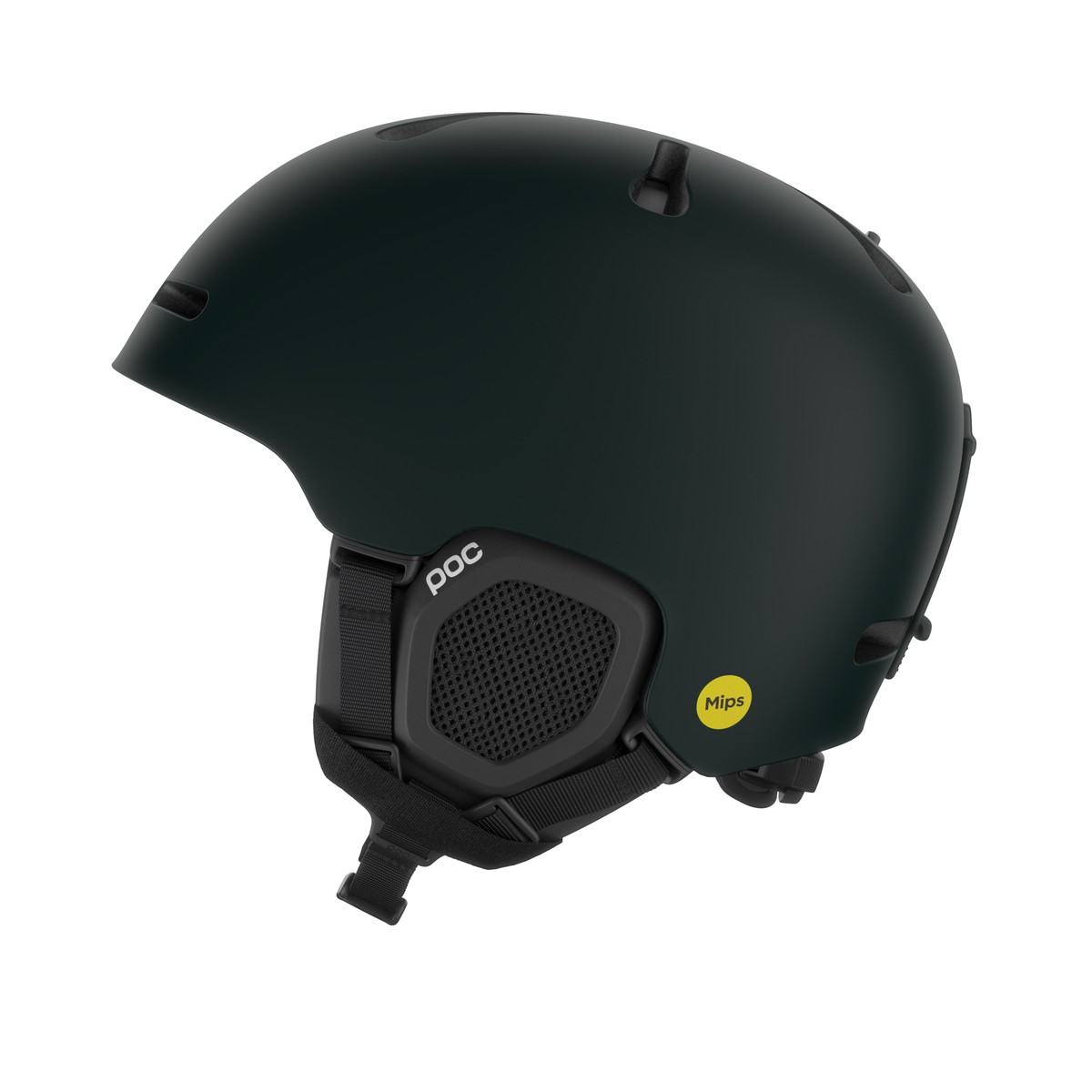 POC Fornix MIPS
