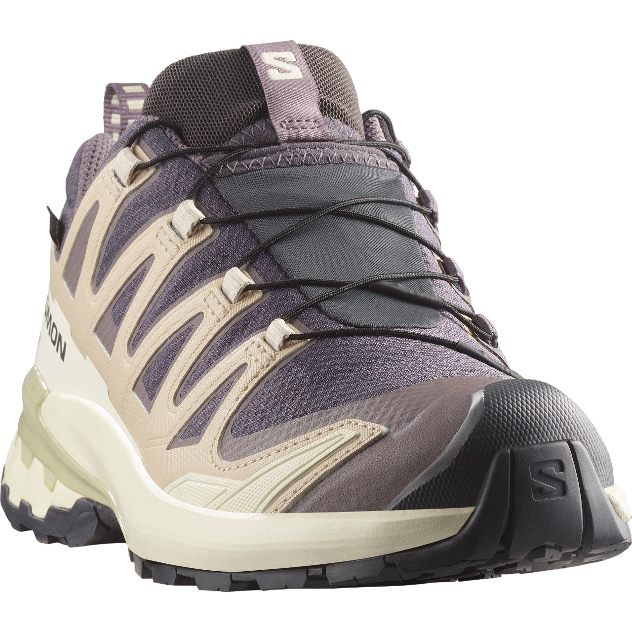 Salomon XA PRO 3D V9 GTX 