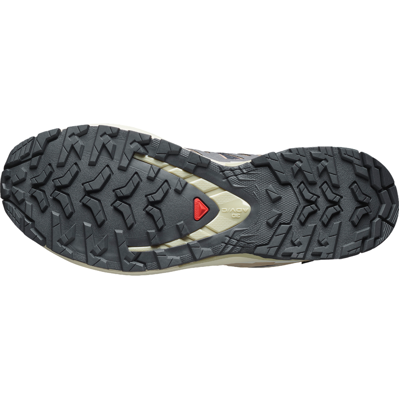 Salomon XA PRO 3D V9 GTX 